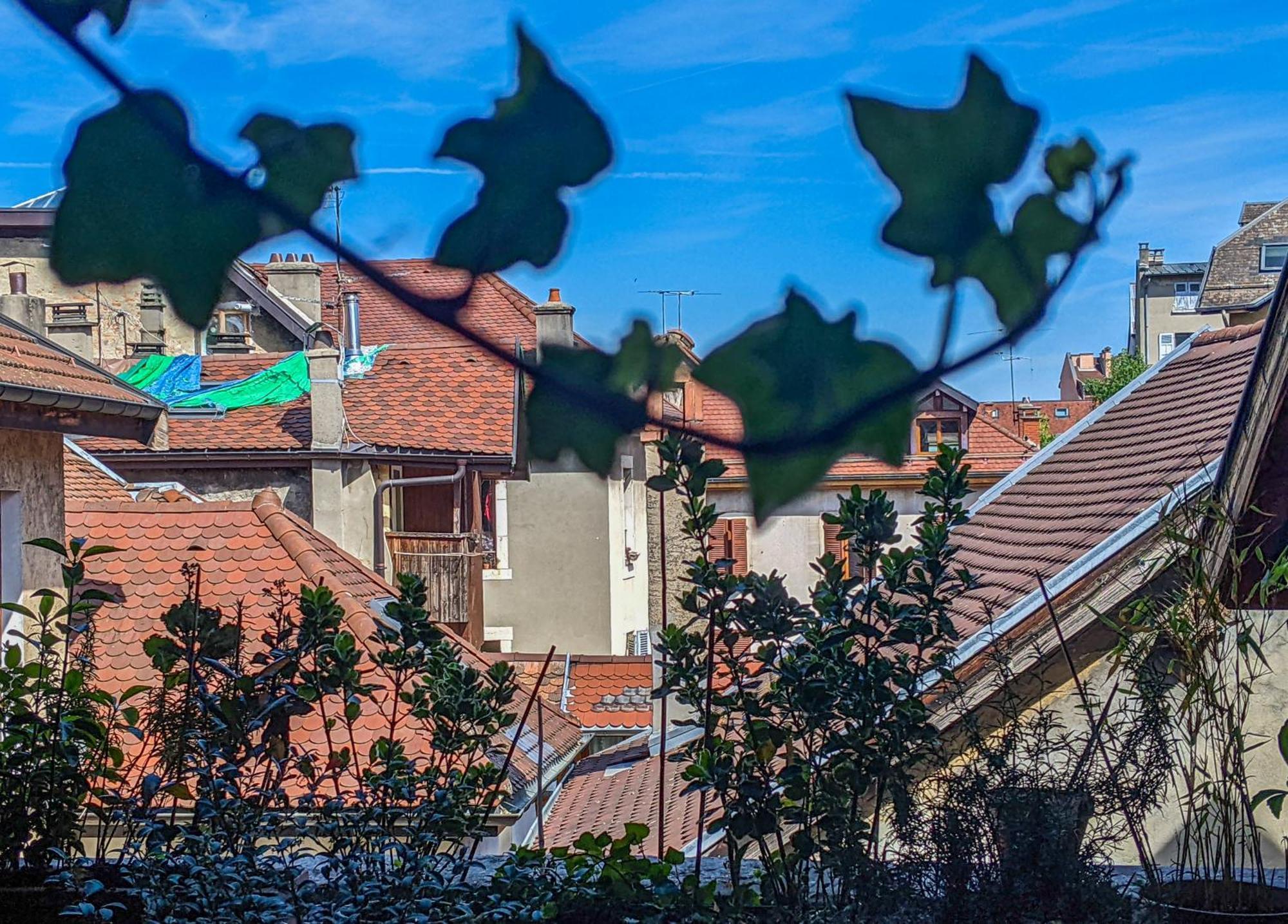 Nid Douillet Bed & Breakfast Annecy Exterior foto